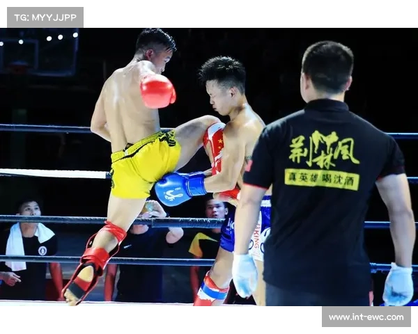 呼和浩特赛区自由搏击联合主赛:中日对决成当晚关注焦点 呼和浩特赛区自由搏击联合主赛:中日对决成当晚关注焦点